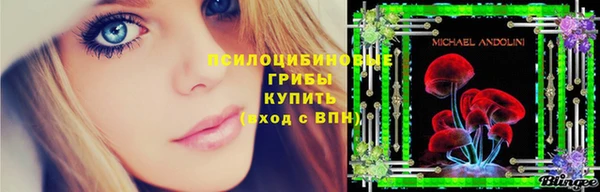 хмурый Богданович