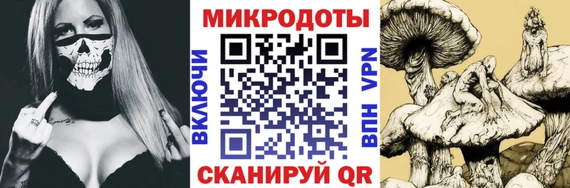 Псилоцибиновые грибы GOLDEN TEACHER  Купить  Талдом 